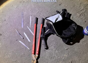 Hoți prinși în flagrant. Voiau să plece cu un utilaj de la uzina din Oțelu Roșu