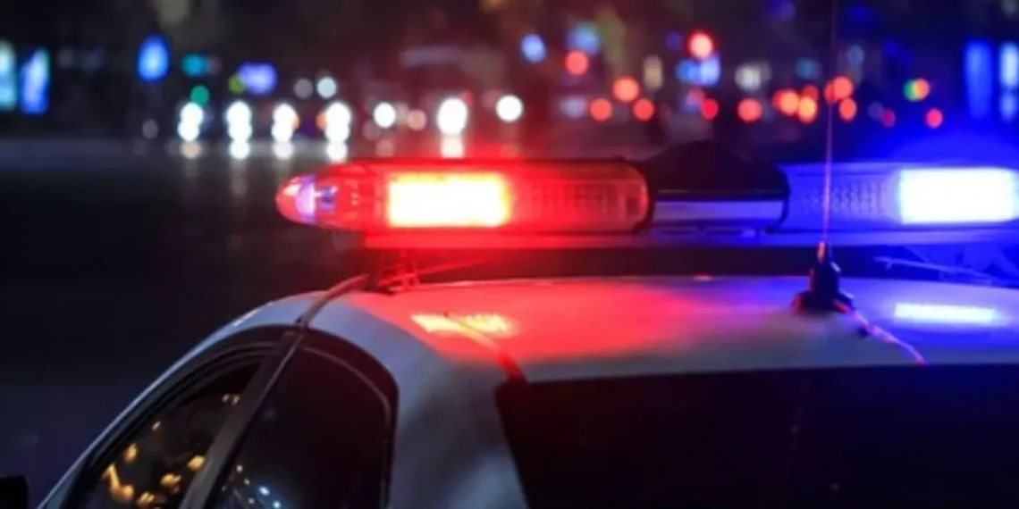 Bărbat dispărut în județul Timiș. Poliția solicită ajutorul populației