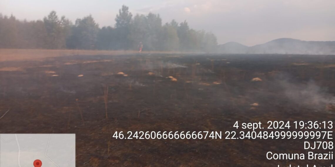 150 de hectare de teren, afectate de incendii