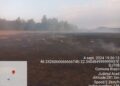 150 de hectare de teren, afectate de incendii