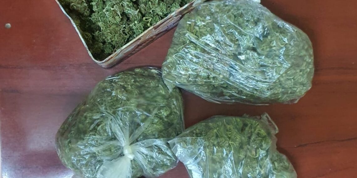 Tânăr prins comercializând cannabis lângă o școală din Timișoara