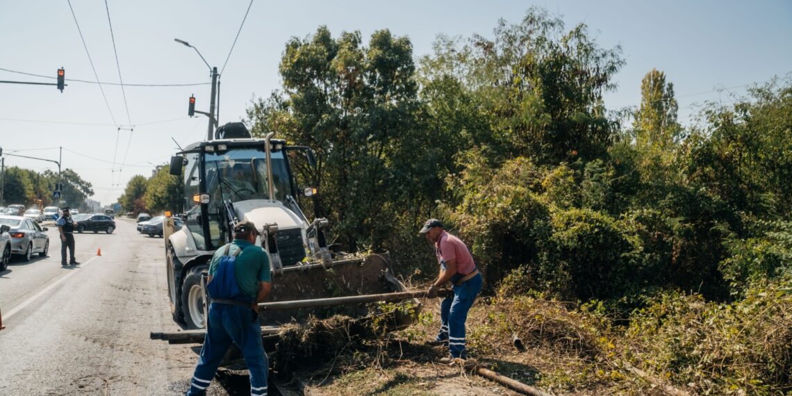 Amplă operațiune de igienizare și deschidere a unui teren de 3,7 hectare, situat în nordul Timișoarei
