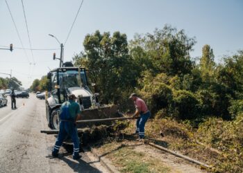 Amplă operațiune de igienizare și deschidere a unui teren de 3,7 hectare, situat în nordul Timișoarei