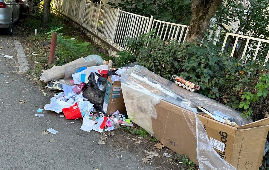 Mobilă uzată, obiecte sanitare, haine vechi și alte resturi depozitate pe terenuri virane sau între blocuri la Timișoara/Foto