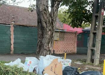 Mobilă uzată, obiecte sanitare, haine vechi și alte resturi depozitate pe terenuri virane sau între blocuri la Timișoara/Foto