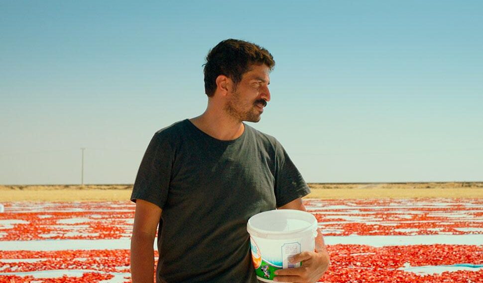 A doua ediție a Festivalului Taifas aduce din nou filme și cultură balcanică la Timișoara