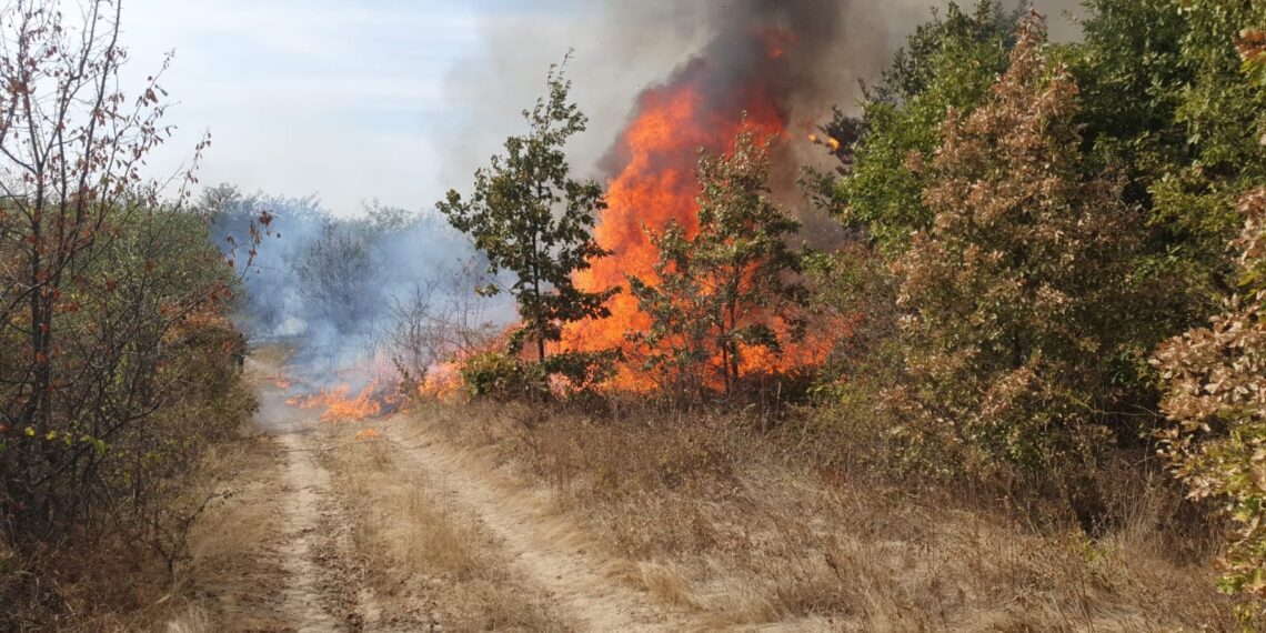 Zeci de incendii de miriște în județul Arad. Pompierii reamintesc că arderea vegetației uscate este strict interzisă