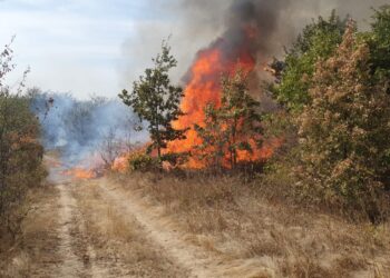 Zeci de incendii de miriște în județul Arad. Pompierii reamintesc că arderea vegetației uscate este strict interzisă