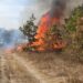 Zeci de incendii de miriște în județul Arad. Pompierii reamintesc că arderea vegetației uscate este strict interzisă