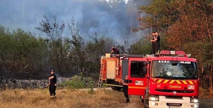 Zeci de incendii de miriște în județul Arad. Pompierii reamintesc că arderea vegetației uscate este strict interzisă