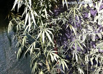 Historia, festival de reconstituiri istorice la Muzeul Satului Bănățean