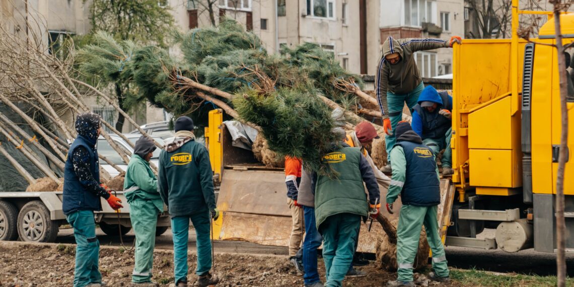 Primăria Timișoara lansează campania de plantări de toamnă