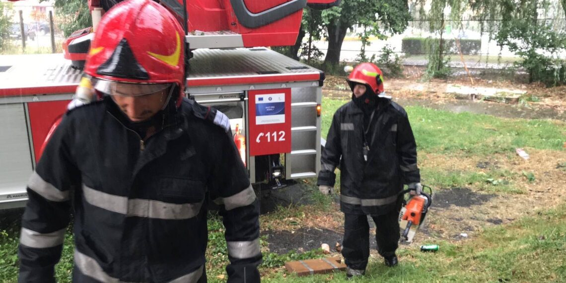 Vântul a doborât un copac la Arad
