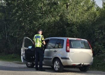 Razie la Chișineu-Criș