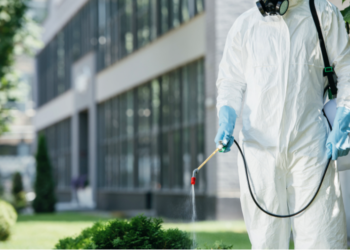 Primăria Timișoara prelungește acțiunile de dezinsecție împotriva țânțarilor până la sfârșitul lunii septembrie