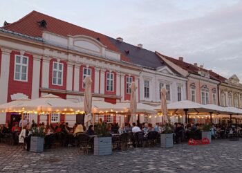 La solicitarea mediului de afaceri, Primăria Timișoara propune proceduri simplificate la autorizarea teraselor