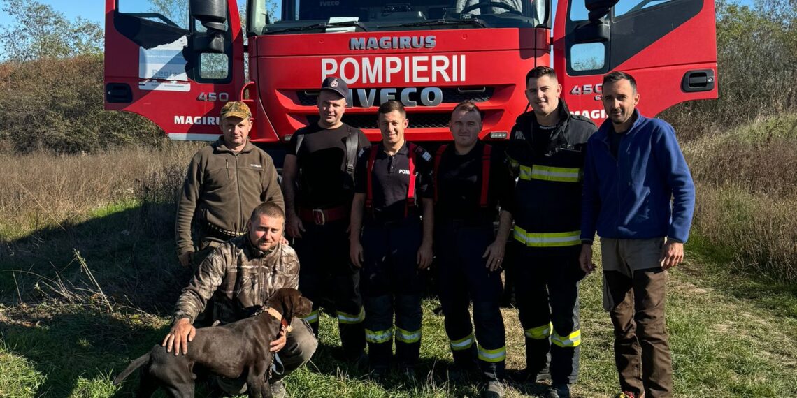 Câine salvat dintr-o fântână în județul Arad
