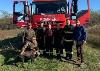 Câine salvat dintr-o fântână în județul Arad