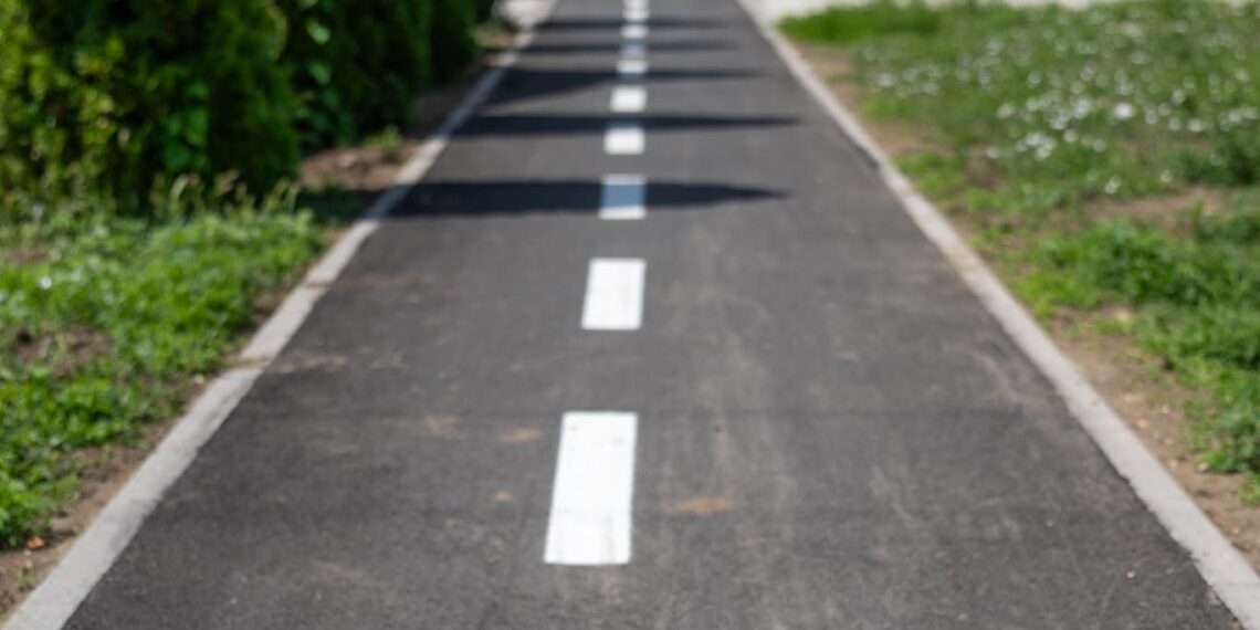 Proiecte pentru un viitor mai verde și în Comloșu Mare