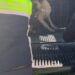 Un cărășean s-a ales cu dosar penal pentru infracțiunea de „intervenții chirurgicale destinate modificării aspectului unui animal”