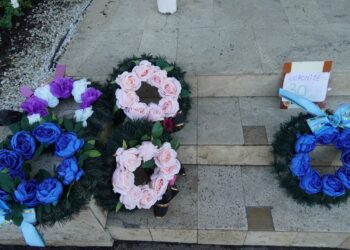 Primăria Timișoara preia cereri pentru activități de comerț stradal cu produse specifice zilei de 1 noiembrie