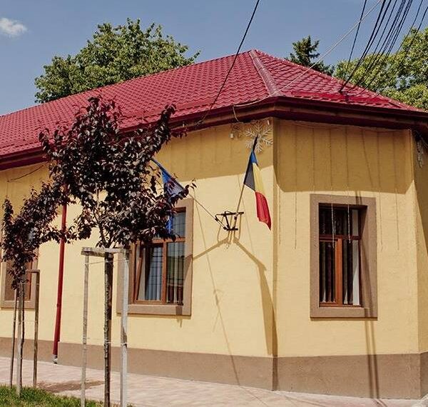 Alți primari din Timiș depun jurământul