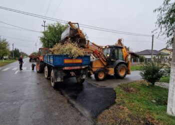 Curățenie de toamnă în comuna Șag. Primăria colectează resturile vegetale