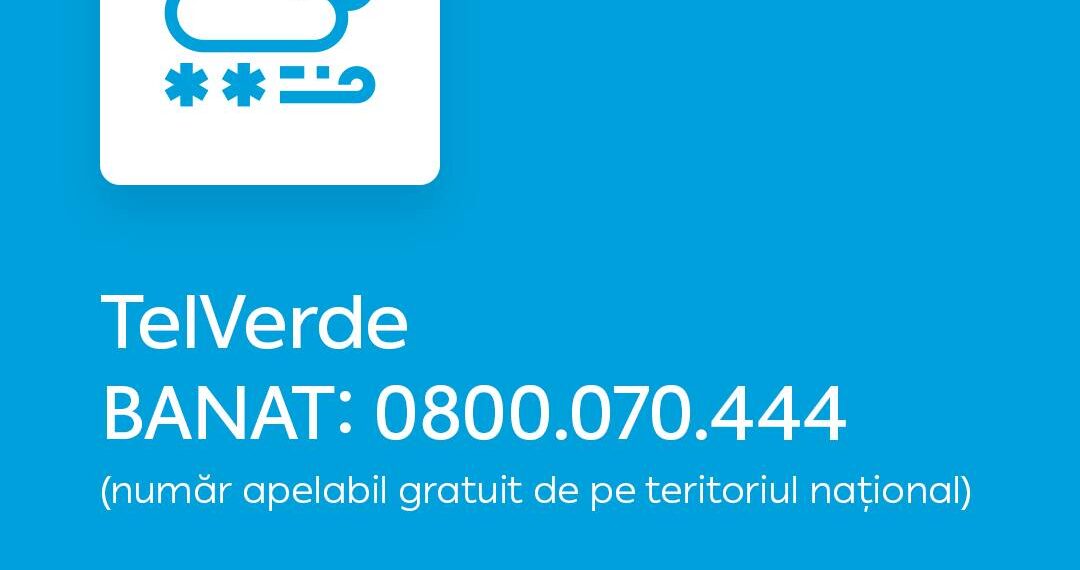 Echipele Rețelei Electrice Banat intervin pentru a remedia defectele provocate de vremea rea