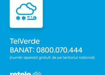 Echipele Rețelei Electrice Banat intervin pentru a remedia defectele provocate de vremea rea