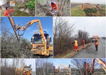 Activități de defrișare și tăiere a vegetației pe câteva drumuri naționale