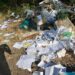 Sancțiuni în valoare de 6.500 de lei, aplicate în noiembrie de Administrația Parcului Natural Lunca Mureșului