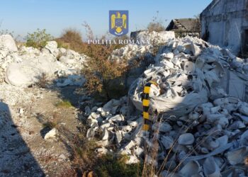 Acțiune de prevenire și combatere a polițiștilor la Deta