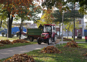 Toamna vine cu acțiuni de îngrijire a spațiilor verzi pe întreg teritoriul orașului Lugoj