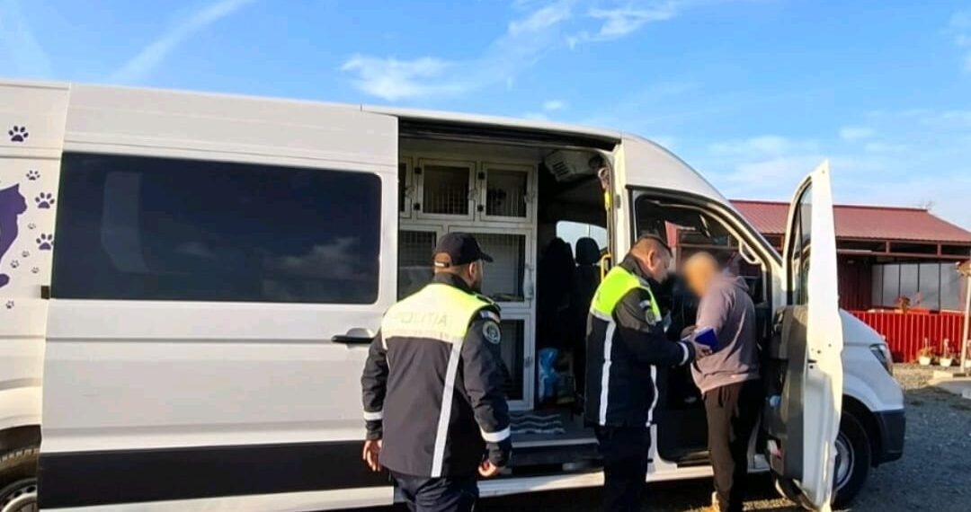 Export ilegal de animale depistat de polițiști
