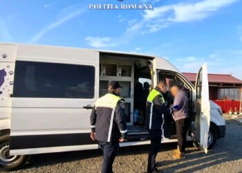 Export ilegal de animale depistat de polițiști