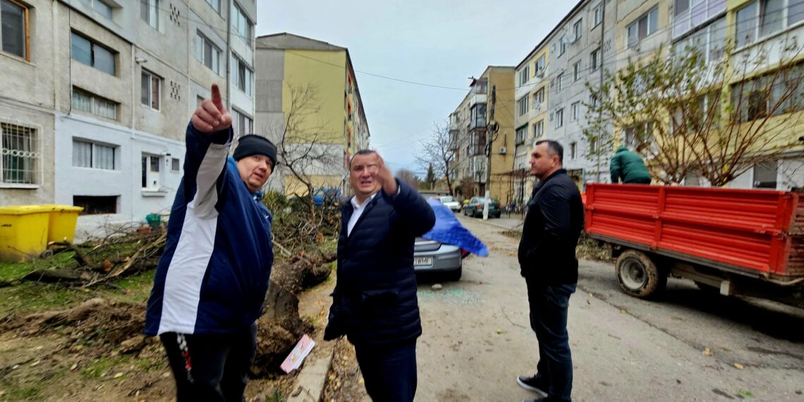 Un acoperiș și mai mulți copaci au fost doborâți de vânt la Lugoj. Autoritățile intervin pentru remedierea pagubelor