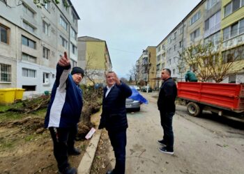 Un acoperiș și mai mulți copaci au fost doborâți de vânt la Lugoj. Autoritățile intervin pentru remedierea pagubelor