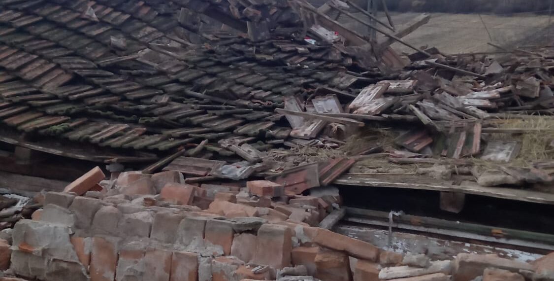 Animale salvate de pompieri, după prăbușirea unui grajd