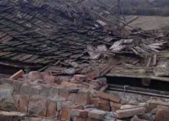 Animale salvate de pompieri, după prăbușirea unui grajd