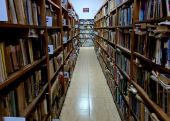 Muzeul de Istorie din Lugoj va fi deschis și în weekenduri, anunță primarul