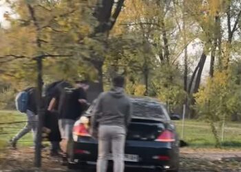 O tânără șoferiță a intrat cu mașina în copac la Timișoara