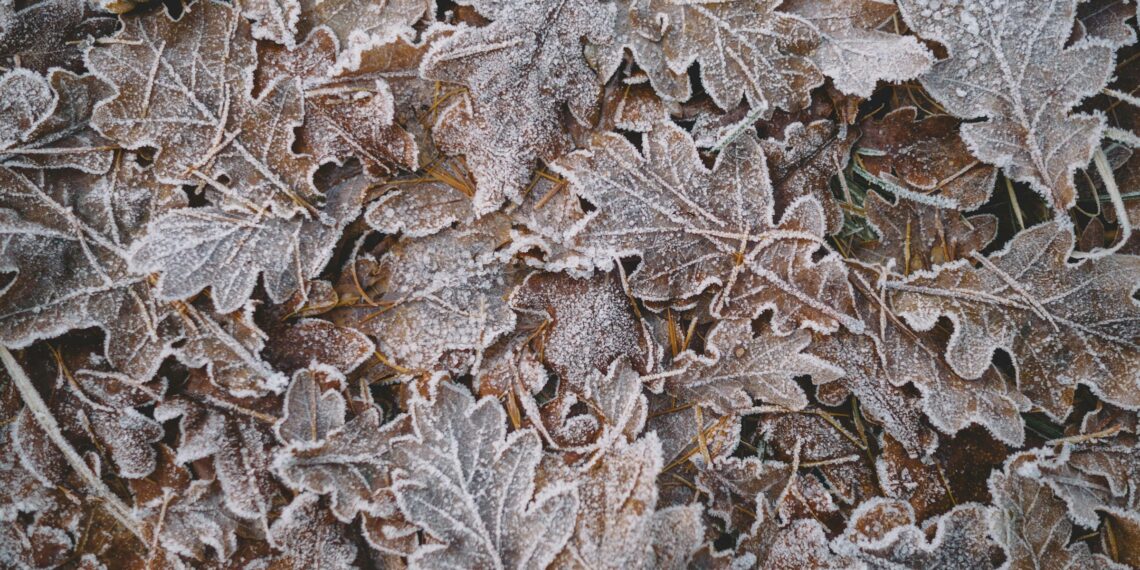 Cum va fi vremea în următoarea perioadă. Prognoza ANM pe patru săptămâni