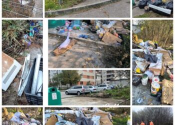 Călin Dobra: „Împreună, putem scăpa de gunoaie și să facem din Lugoj un oraș mai frumos și mai îngrijit!”