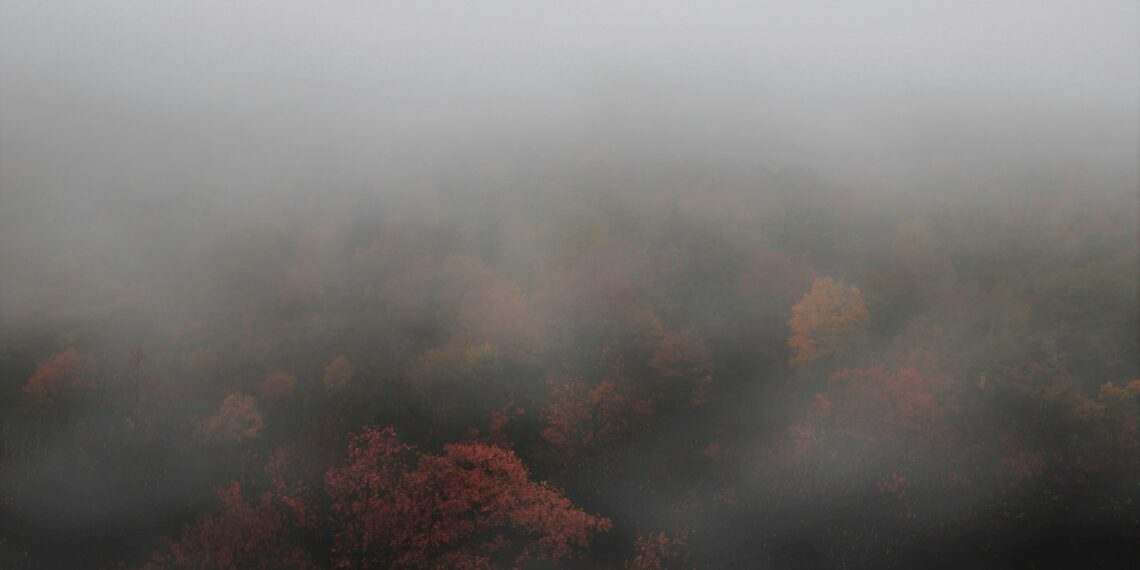 Vizibilitate redusă din cauza ceții pe autostrada A1 Deva – Nădlac