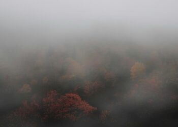 Vizibilitate redusă din cauza ceții pe autostrada A1 Deva – Nădlac