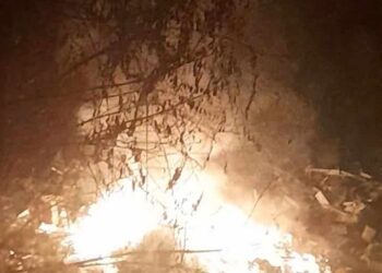 Amendă de 45.000 de lei primită de o timișoreancă pentru că a dat foc la deșeuri și a afumat tot cartierul