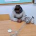 Bărbat depistat din nou „la treabă” de polițiștii locali din Timișoara