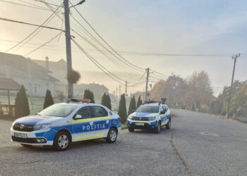 Razie a polițiștilor arădeni la Gurahonţ