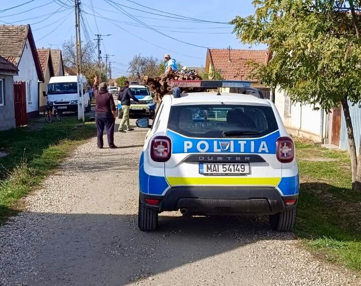 Timișoara găzduiește „Cupa Floreta” – Competiția Internațională de Scrimă pentru copii