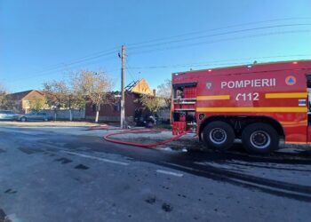 Incendiu într-o gospodărie de lângă Lugoj